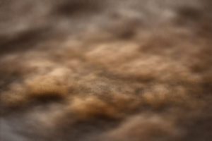 Cookies aux pépites de chocolat : recette facile et délicieuse pour des biscuits parfaits