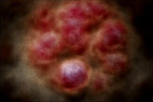 Tartelettes aux fruits rouges maison : recette facile et gourmande pour un dessert irrésistible