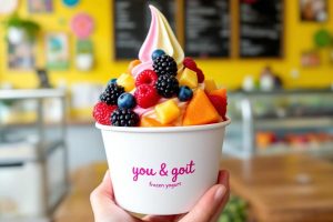 Frozen yogurt : le dessert glacé sain et délicieux à découvrir absolument